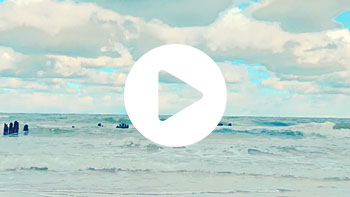 Youtube-Link